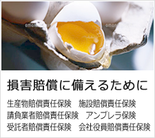 損害賠償に備えるために 生産物賠償責任保険 施設賠償責任保険 請負業者賠償責任保険 アンブレラ保険
受託者賠償責任保険 会社役員賠償責任保険